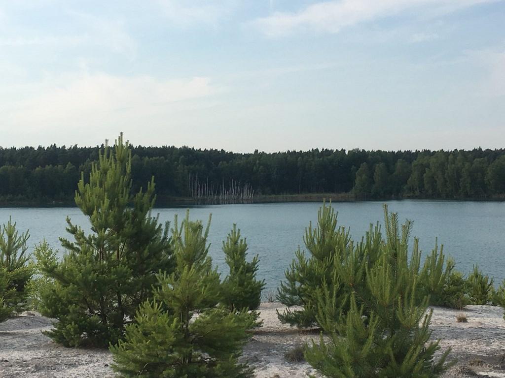 Ferienwohnung Am Schiederdamm Schwandorf in Bayern Oda fotoğraf